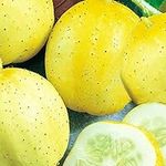 50 Lemon Cucumber Seeds | Non-GMO |