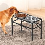 PaWz Dual Elevated Raised Pet Dog P