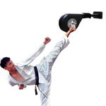 RISANXUN Wall Mounted Taekwondo Kick Pad, Taekwondo Training Kicking Target Holde for Teens and Adults, Martial Arts Training Equipment