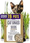 CAT Grass Seeds Favorites Blend Gro