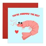 Funny Anniversary Card for Her - 'You're Shrimply The Best' - Cheeky Birthday Card for Husband Boyfriend - Fun Valentines Day Card for Girlfriend Wife - Comes with Fun Stickers - By Central 23