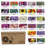 Pronto Seed Flower Bumper Pack - for Planting Now - Grow Your Own Kit - Containing 24 Different Varieties of Flowers - Over 3100 Seeds - Attract Butterflies & Bees - Gardening Gifts for Women and Men