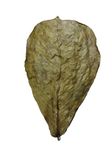 Dry Indian Almond Leaves Catappa Leaves for Shrimp Bettas Tropical Aquarium Fish (30 Piece)