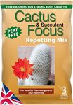 Growth Technology Ltd MDCAF3 Cactus