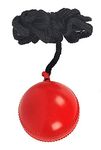 Sg Iball Synthetic Hanging Ball , Adult, (Red) Standard Size