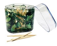 NEVINE Cotton Toothpick Holder Organizer Case with Lid | Multicolor |Container Box Pack of 1 (Green)