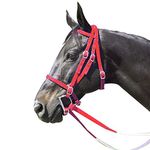 Intrepid International Nylon Race Horse Bridle, Red