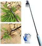 Gardening Hand Weeder Tools, 2024 N