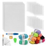 BUYGO 39Pcs Mesh Plastic Canvas Sheets Kit Including 15 Pieces Clear Plastic Canvas, 12 Color Acrylic Yarn and Embroidery Tools for Embroidery Plastic Canvas Craft