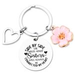 Sister Birthday Christmas Gifts for Women Girls Side By Side or Miles Apart Keychian for Step Sister Long Distance Gifts for Big Little Sister Xmas Gifts from Sister Key Ring for Sister in Law