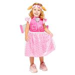 amscan (PKT) (9909125) Child Girls Skye Deluxe Costume (4-6yr) - Paw Patrol