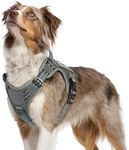 rabbitgoo Tactical Dog Harness No P