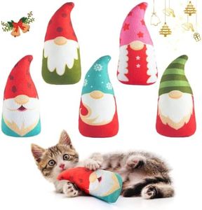 Biubiucat 