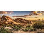 AWERT Reptile Habitat Background Blue Sky Oasis Cactus Sun and Desert Terrarium Background 36x18 inches Durable Polyester Background