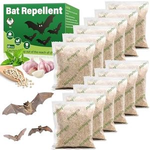 12 Pack Ba