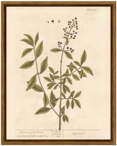 VIYYIEA Framed Wall Art Decor for Living Room, Canvas Vintage Wall Art Painting Pictures Rustic Vintage Plant Prints Farmhouse Decor Cottage Artwork Home Kitchen Aesthetic Living Room Decor 8x10in