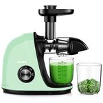 Green Value Juicer