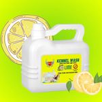TICKZ OFF Kennel Wash, Floor Cleaner for Home, Office, Kennels, Removes Pet Odor, Kills Germs, Safe for Pets and Children, Disinfectant, Multi-Surface, Biodegradable, Fresh Fragrance (Lime, 5000 ml)