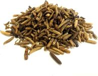 *New* Dried Calciworms 5kg Premium Wild Bird & Hedgehog Food