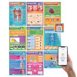 Daydream Education Applied Anatomy & Physiology Posters - Set of 9 PE Posters | Gloss Paper |850mm x 594mm (A1) | FREE Interactive Quizzes | Physical Education Classroom Charts