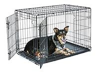 New World Newly Enhanced Double Door 91.44 cm (36-Inch) Dog Crate for Small Dog Breeds; Includes Leak-Proof Pan, Floor Protecting Feet, & New Patented Features; B36DD