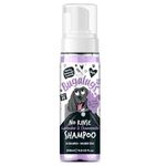 Bugalugs No Rinse Lavender & Chamomile Dog Shampoo - Calming Dog Dry shampoo for itchy dog skin relief. Dog calming products, foam dog shampoo for smelly dogs