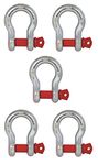 Qadar Bow Shackle - Heavy Duty Alloy Steel Bow Shackle for Towing and Lifting - Screw Pin Type, CE Certified - Controlled Protection (6.5 Ton, 5)