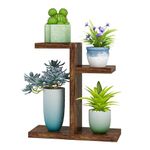 Bamworld Tabletop Plant Stand Indoor, 3 Tier Succulent Plant Shelf for Multiple Small Plants, Wood Desktop Flower Stand for Office Windowsill Living Room Bedroom