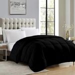 ATK-8 Bedding- Machine Washable 100% Cotton Comforter Double Bed King Size 400 GSM Winter Comforter (92 x 106 Inches) Blanket/Quilt/Rajai - King Comforters | Black