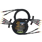 6 Foot - Canare 4S11 – Audiophile Grade - HiFi Star-Quad Bi-Wire Speaker Cable Pair with Eminence Gold Banana Connectors