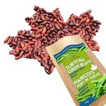 Oh! Canada Seeds - 500 Heirloom Bean Seeds for Planting Canada – Graines de Haricot Bulk Survival Garden Seed Garden Bean Seed Bush Bean