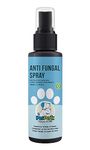 Antifungal For Dogs