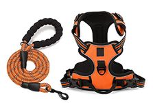 Sakuun Heavy Duty No Pull Dog Harness with 5ft Dog Leash Double Padded Easy Control Chest Body Belt for Large Dogs Girth inch: 26"- 31" Orange