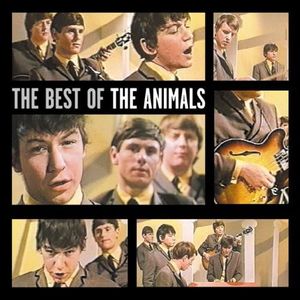 Best Of The Animals