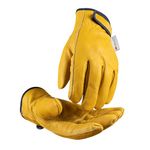 Winter Leather Work Gloves, Warm 3M Thinsulate Lining for Cold Weather Work, Thermal Insulated Gloves, 100% Full Grain Cowhide with Abrasion and Puncture Resistance, Size X-Large