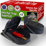 SWISSINNO Rat Trap PRO SuperCat | Efficient, Humane and Reusable with Food Bait | Catch and Kill instantly | Powerfull Mechanism | Indoors and Outdoors Use | Made in Europe: 2 x Traps