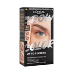 L'Oréal Paris, Semi-Permanent Eyebrow Tint, Lasts up to 5 Weeks, Visible Results in 5 Minutes, Up to 10 Uses, Ammonia Free, Brow colour, Shade: 6.0 Light Brunette