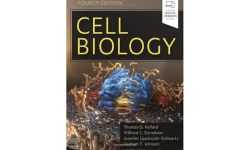 CELL BIOLOGY WITH ACCESS CODE 4ED (HB 2024)