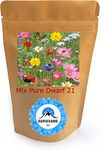 Wild Flower Dwarf Wildflower & Cornflower Seed Mix More Than 20 Colorful Flowers with NO Grass Seed NO FILLERS (20 to 60cm) Very Pure Native UK (2 kg)