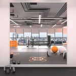 LOAAO Home Gym Mirror, 72"x32"-2 PC