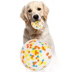 Dog Ball Toys,Indestructible Dog Toys Balls,High Bounce Rubber Dog Balls,Durable Solid Interactive Ball,Resistant Teeth Training Dog Toys,for Small Medium Large Dog Puppy Water Jumping Fetch Play Toys