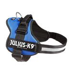 K9 Powerharness, Size: XL/2, Blue