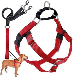 2 Hounds Design Freedom No Pull Dog Harness | Comfortable Control for Easy Walking |Adjustable Dog Harness and Leash Set | Small, Medium & Large Dogs | Made in USA | Solid Colors | 1" XXL Red