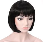 Onedor 10" Short Straight Hair Flap