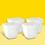 Kraft Seeds by 10CLUB Plastic Flower Pots - 4 Pcs (10 Inch, White) | Plant Pots for Home Gardens | Planters for Nursery | Durable Pots for Lawns | Planters for Balcony and Terrace