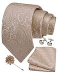 Gusleson Mens Champagne Tie for Wedding Beige Paisley Necktie Pocket Square Cufflinks and Lapel Pin Brooch Set (UK6103-25)