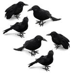 6PCs Artificial Crows, Black Feathered Crow, Spooky Decorations, Realistic Raven Birds Decorations for Home Decor Indoor Outdoor Garden Props