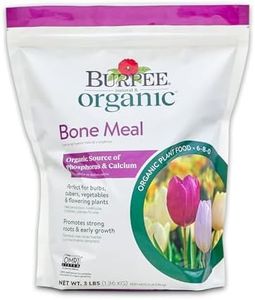 Burpee Bon