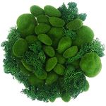 NA Woohome Artificial Moss Fake Moss Decorative, 30 PCS Green Moss Balls and 30 Gram Preserved Green Moss for Floral Arrangements, Fairy Gardens, Crafting