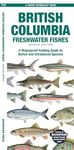 British Columbia Freshwater Fishes: A Folding Guide to Native and Introduced Species